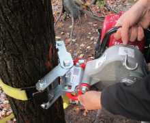 Systeme ancrage de treuil pour arbre avec sangle, PORTABLE WINCH, 690581002151